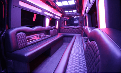 Savannah 14 Passenger Sprinter Bus Interior